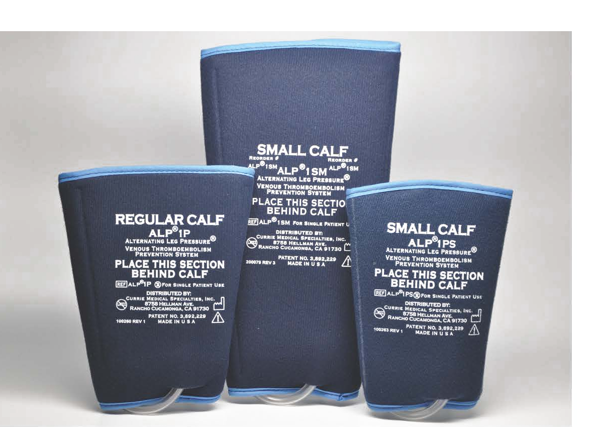 ALP garment family (back views)